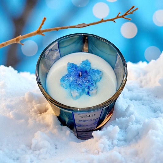 WINTER WONDERLAND - Funny Candle, Scented Coconut Soy Candle, 9oz - CrazyKooky Candles LLC