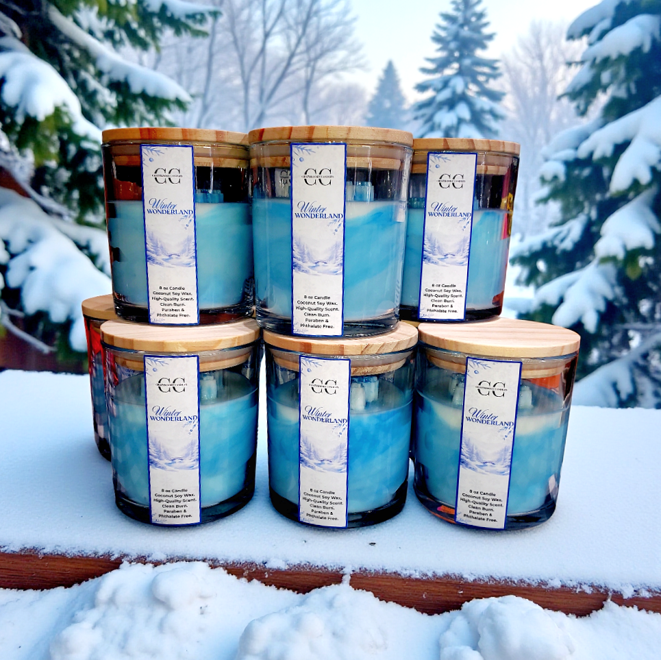WINTER WONDERLAND - Funny Candle, Scented Coconut Soy Candle, 9oz